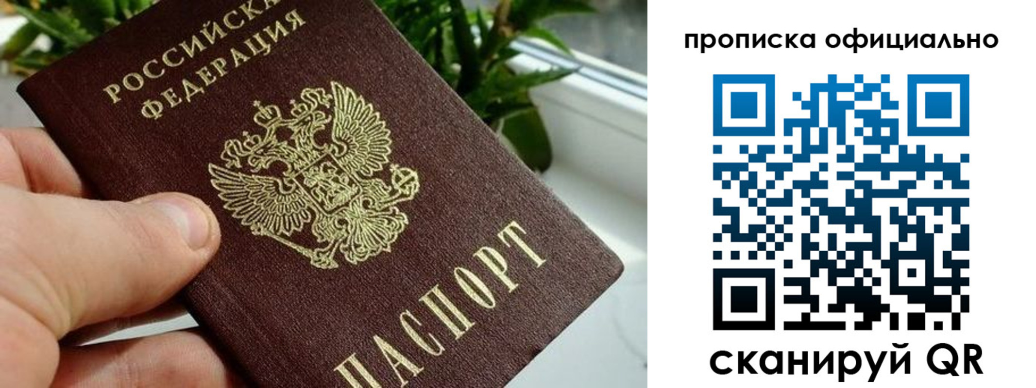 прописка поиск в Нижней Туре